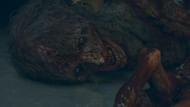 Putting the Matriarch down (Image via Techland || Youtube@/WoW Quests)